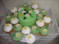/album/muffiny/dsc03367-jpg/